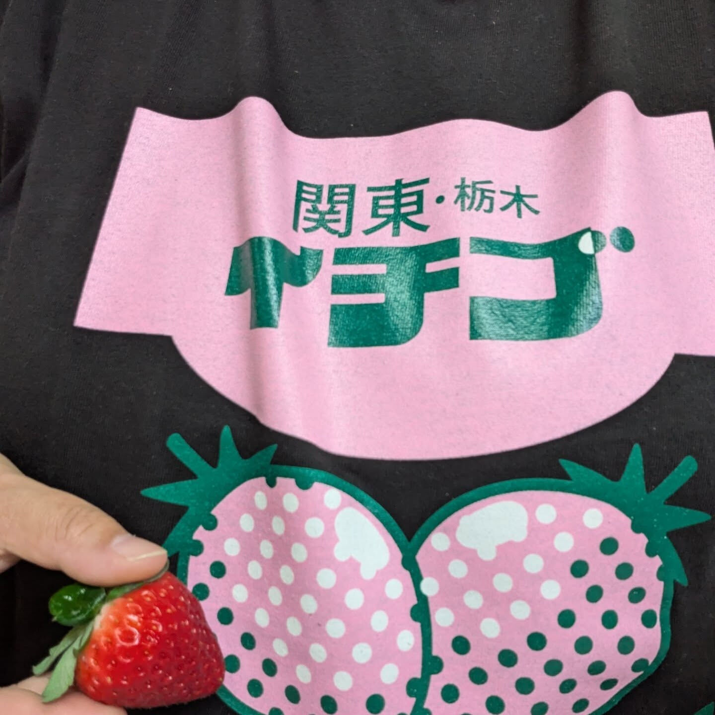 お疲れ様です！かっきー農園です🫡