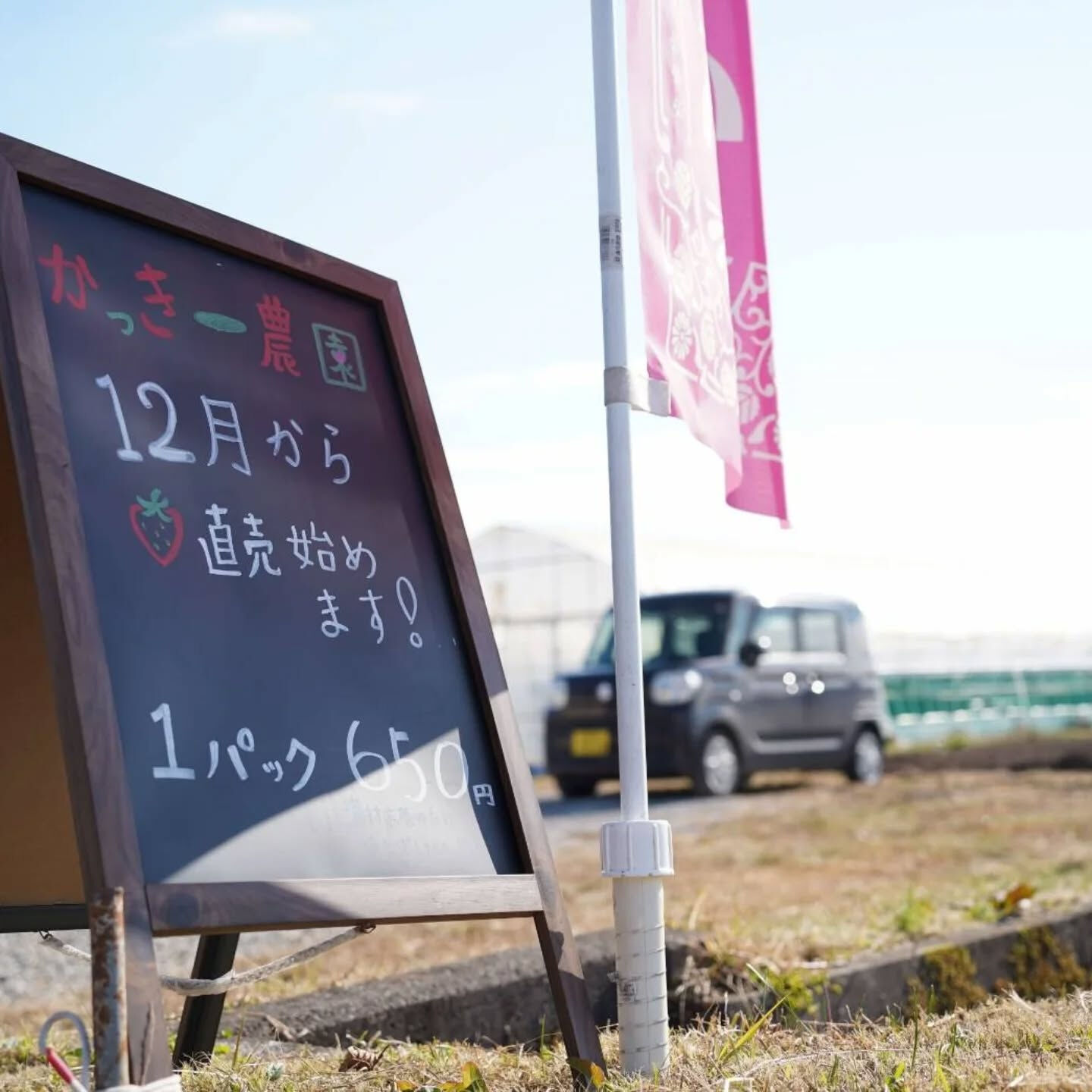 お疲れ様です！かっきー農園です！🫡