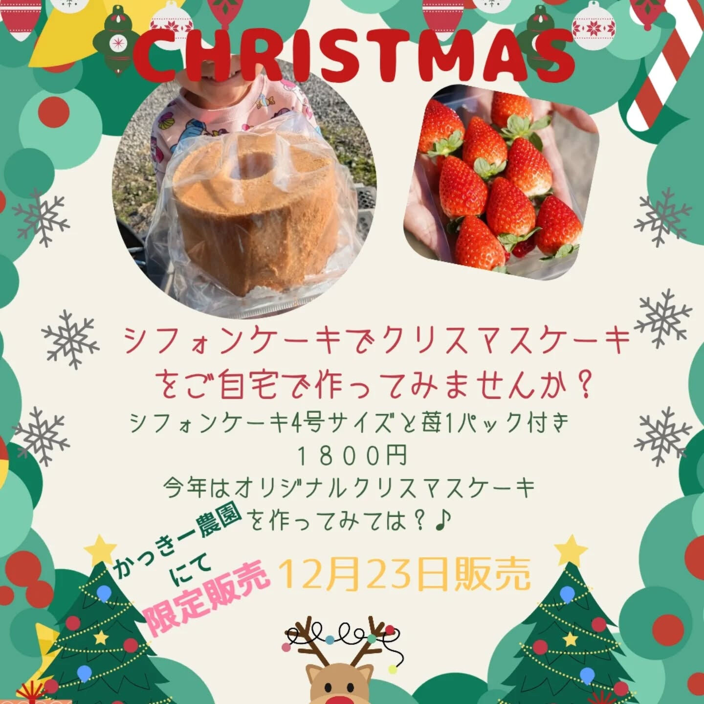 お疲れ様です!かっきー農園です🫡