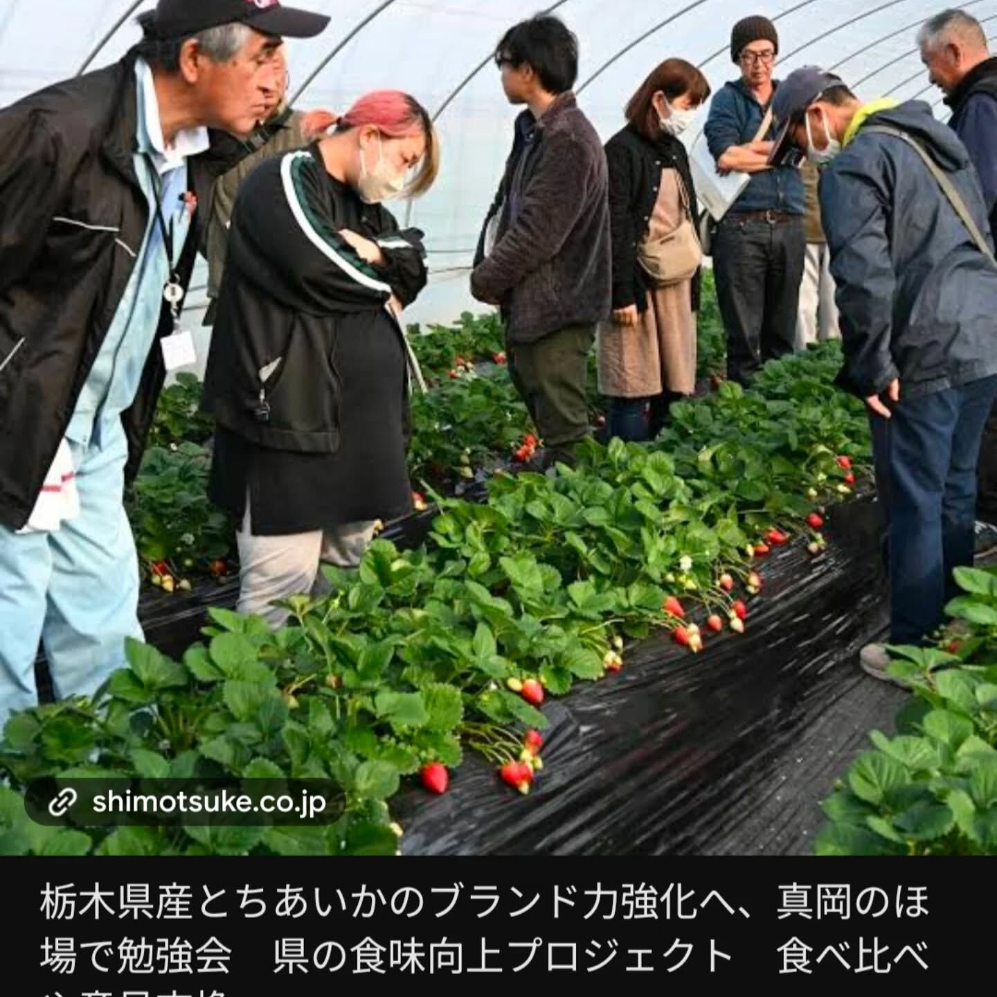 お疲れ様です!かっきー農園です!🫡