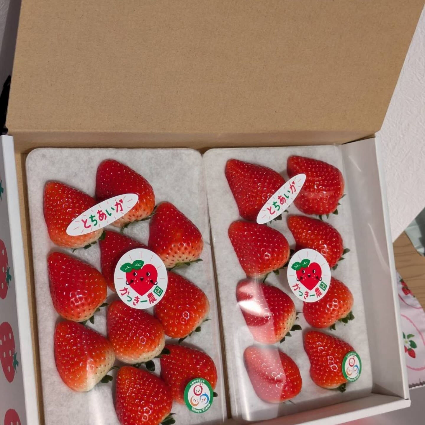 ふるさと納税返礼品
