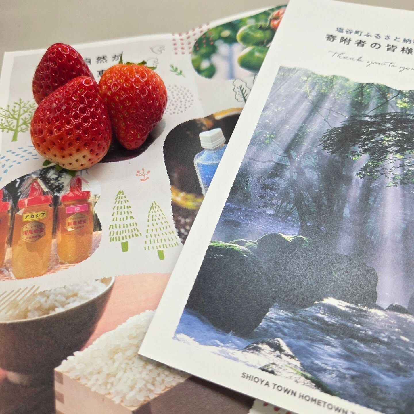 ふるさと納税返礼品発送終了(とりあえず💦)