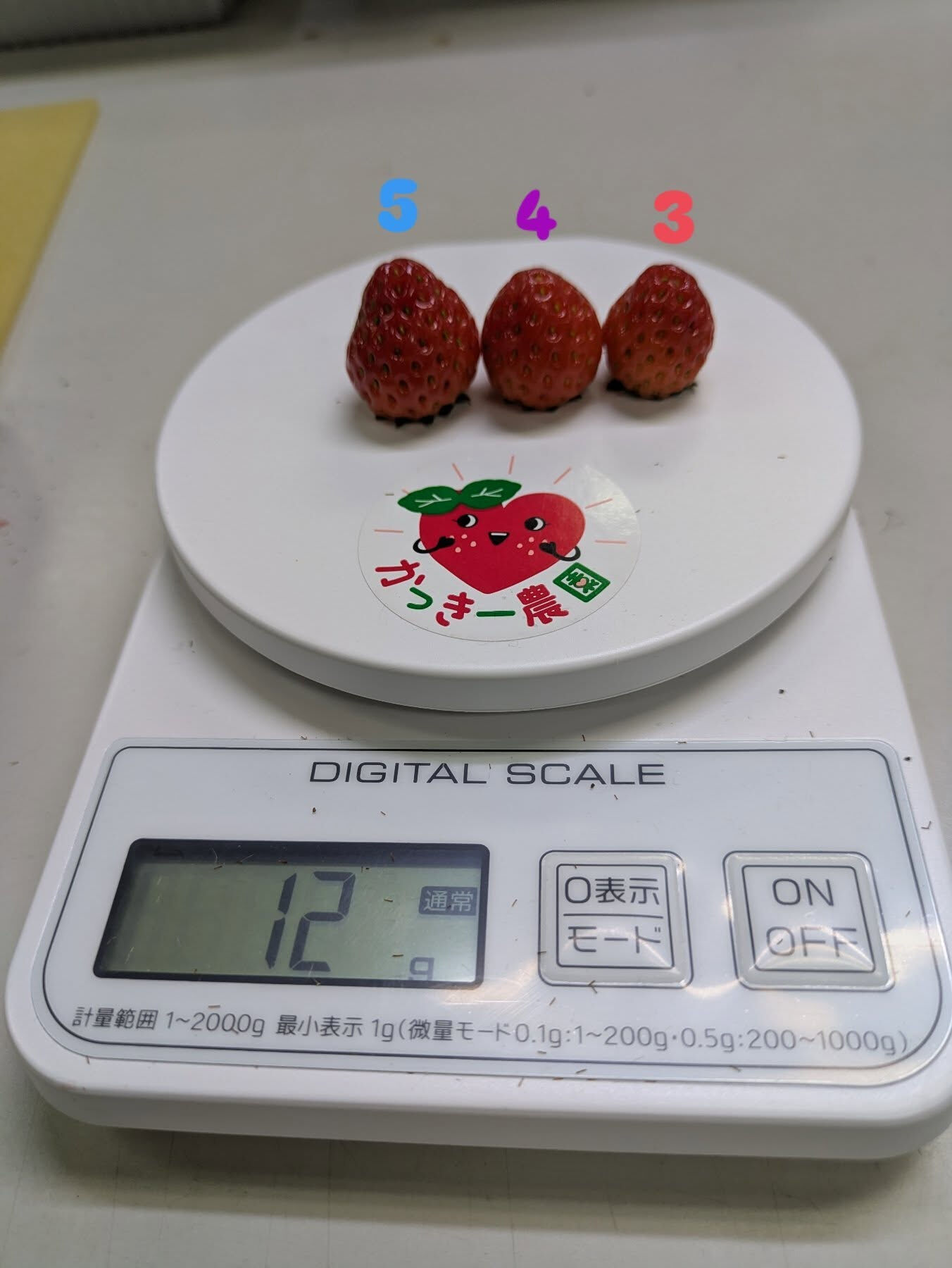 お疲れさまです！かっきー農園です！🫡