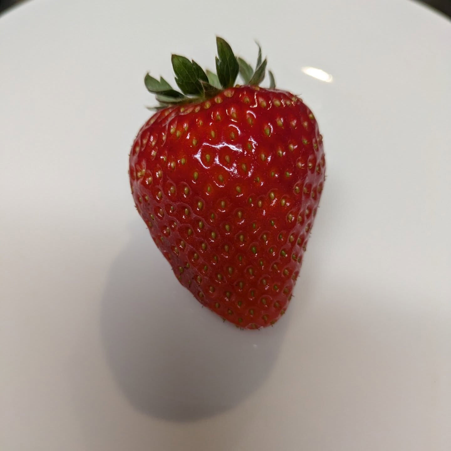 お疲れさまです！かっきー農園です🫡