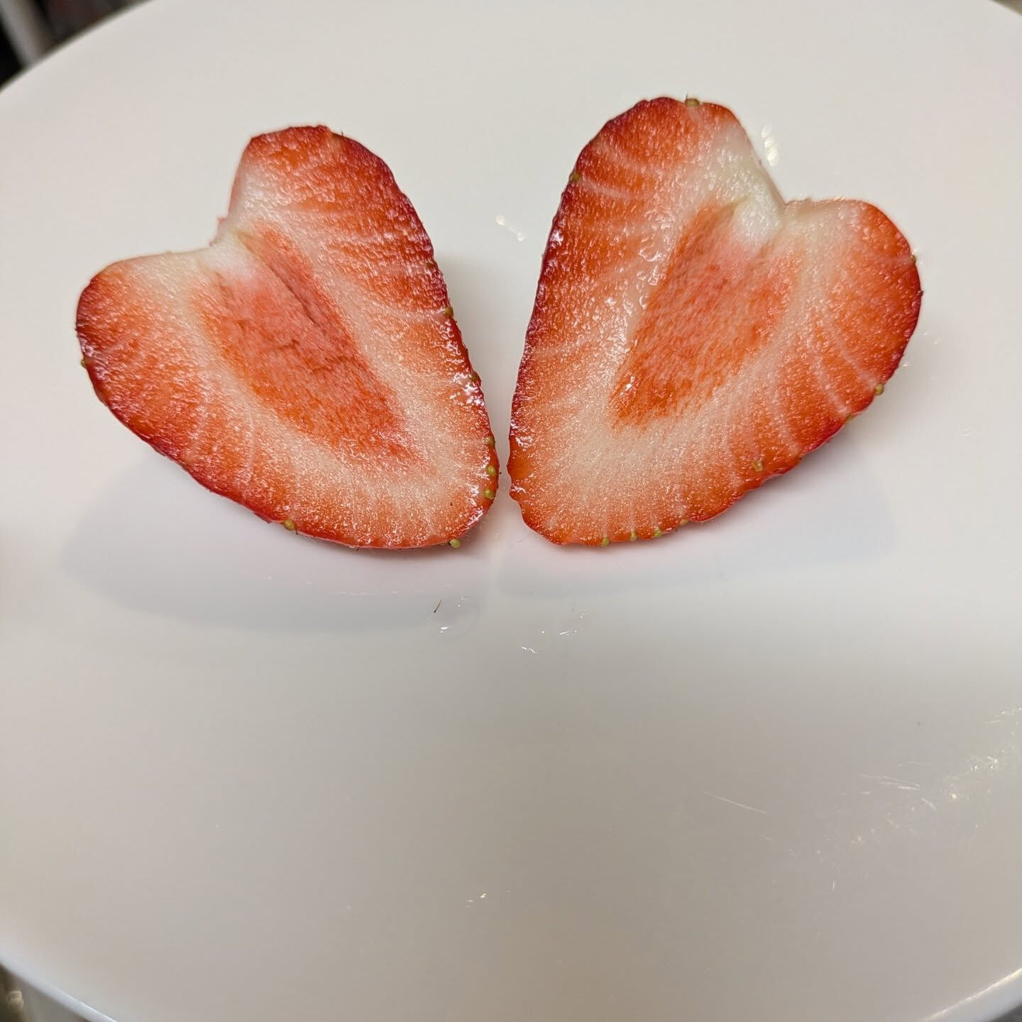 お疲れさまです！かっきー農園です🫡