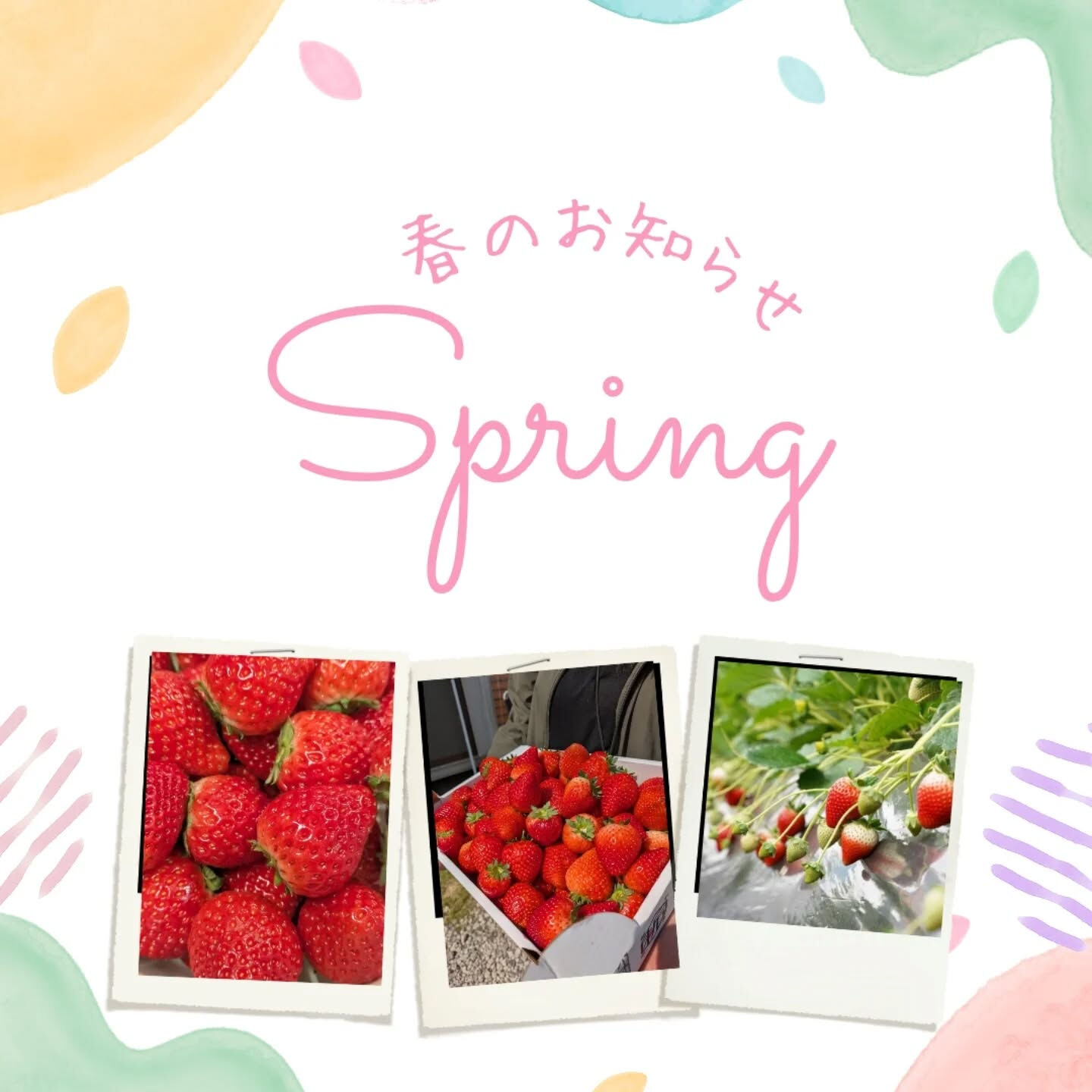 お疲れ様です!かっきー農園です🫡