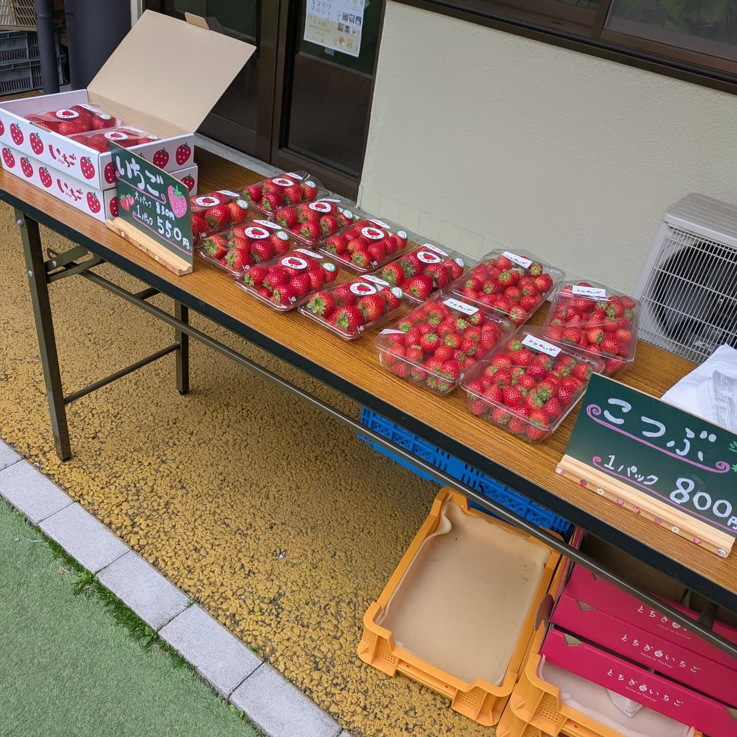 お疲れ様です！かっきー農園です🫡