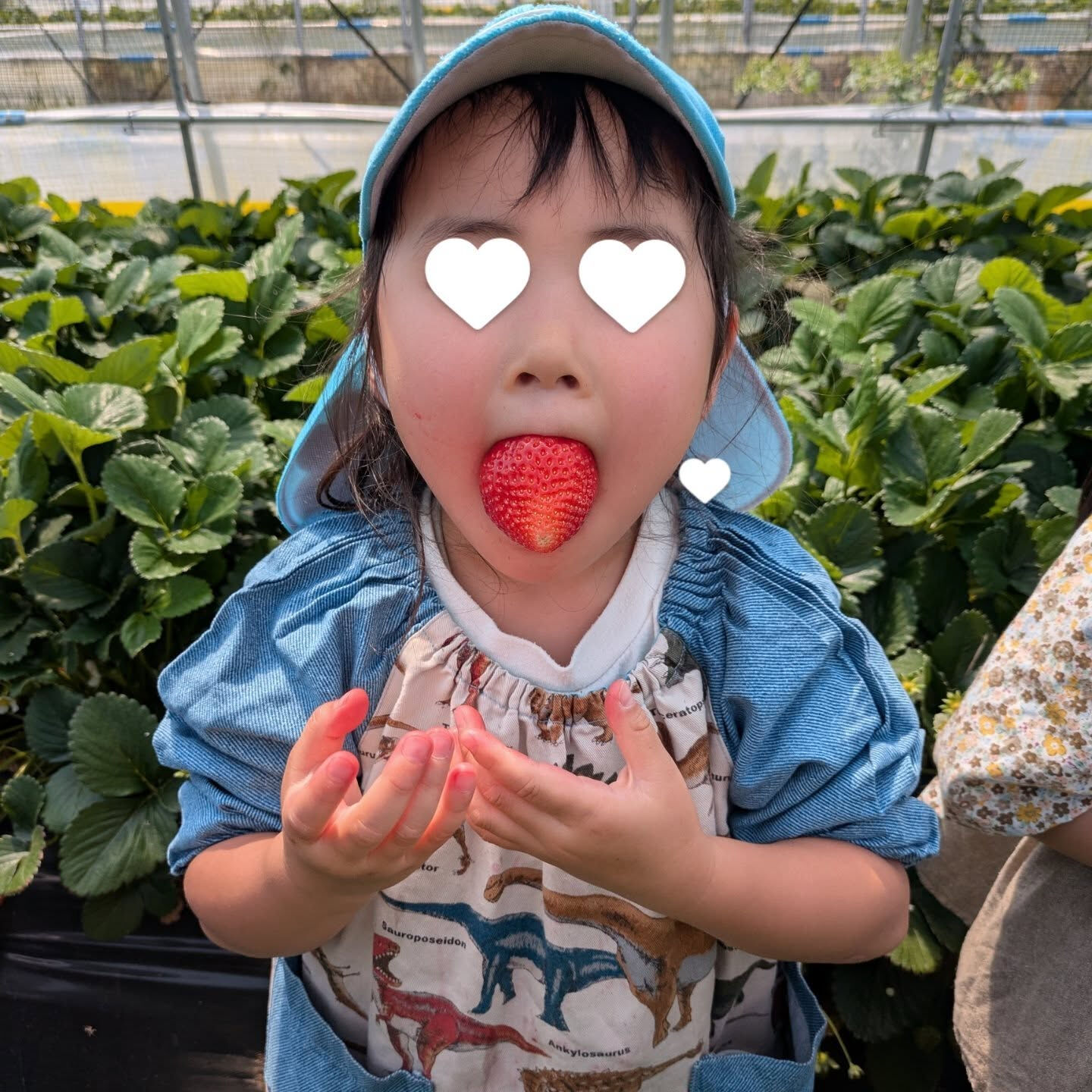お疲れ様です!かっきー農園です🫡