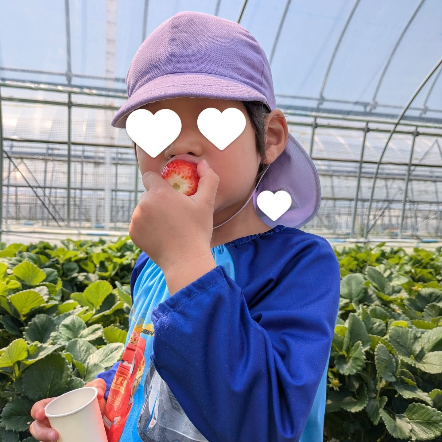 お疲れ様です!かっきー農園です🫡