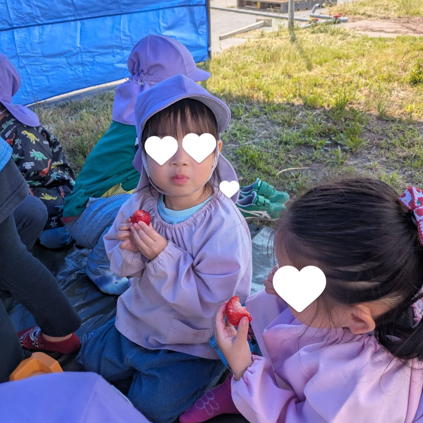 お疲れ様です!かっきー農園です🫡