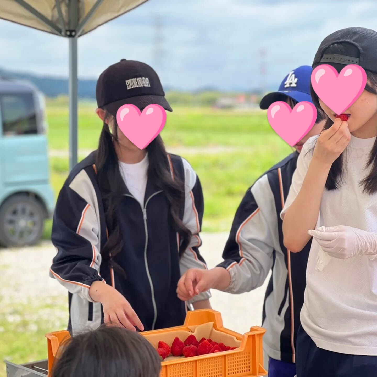 お疲れ様です！かっきー農園です🫡